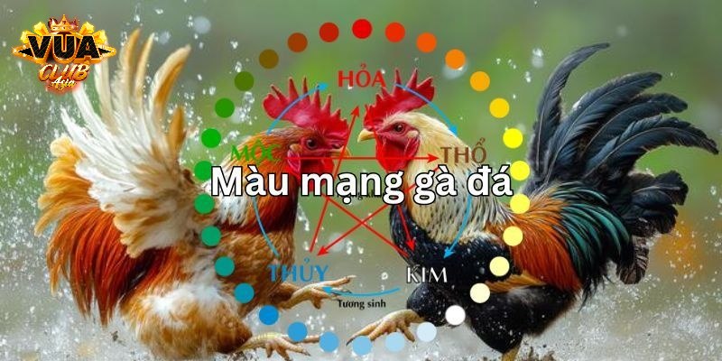Phương pháp nhận biết màu mạng hữu hiệu